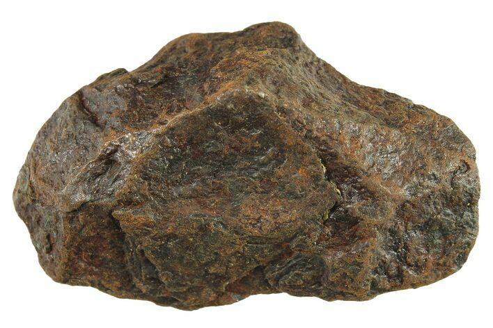 Canyon Diablo Iron Meteorite ( g) - Arizona #287651